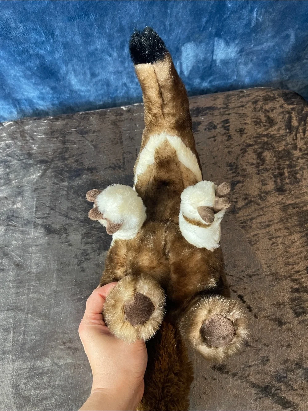 The petting zoo Plush Anteater
